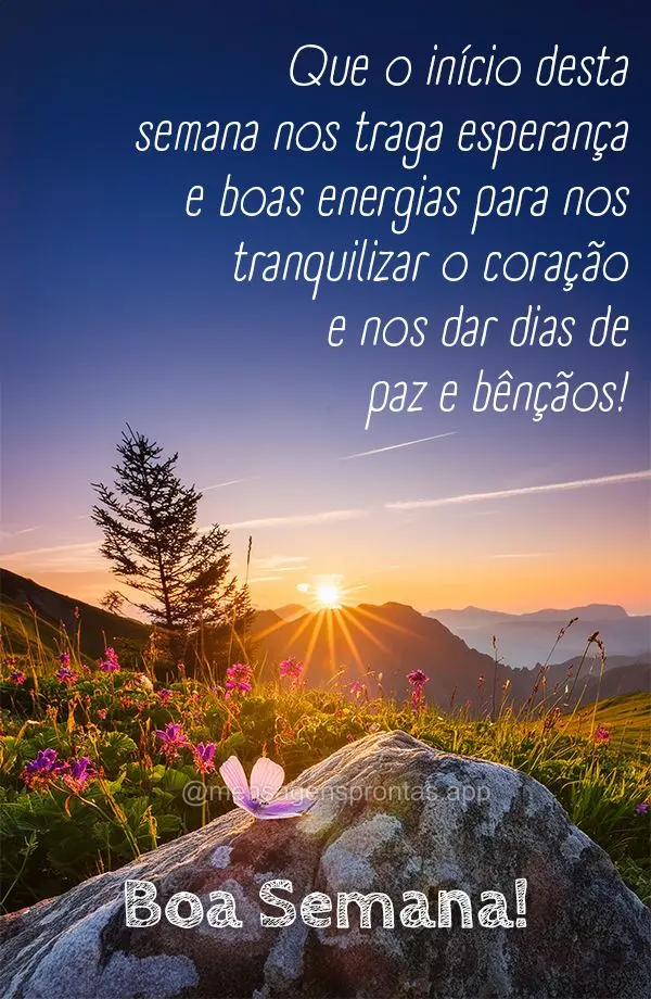 Que o início desta semana nos traga esperança e boas energias para nos tranquilizar o coração e nos dar dias de paz e bênçãos! Boa Semana!