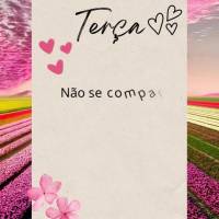 Não se compare aos outros, cada um tem seu próprio caminho e tempo de realização. Terça