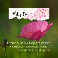 Lembre-se de que tudo é passageiro, inclusive os momentos difíceis. A vida é feita de ciclos e tudo passa. Feliz Quinta-feira!