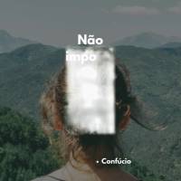 Não importa que você vá devagar, contanto que você não pare. Confúcio