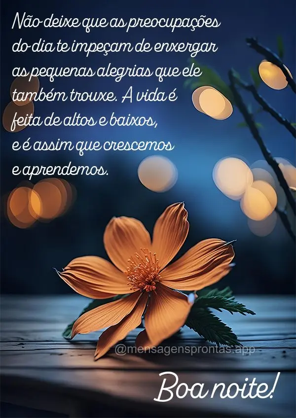 Não deixe que as preocupações do dia te impeçam de enxergar as pequenas alegrias que ele também trouxe. A vida é feita de altos e baixos, e é assi...