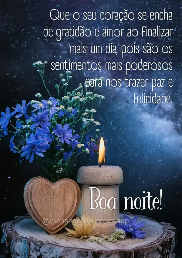 Que o seu coração se encha de gratidão e amor ao finalizar mais um dia, pois são os sentimentos mais poderosos para nos trazer paz e felicidade. Boa ...