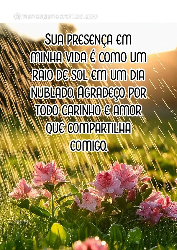 Sua presença em minha vida é como um raio de sol em um dia nublado. Agradeço por todo carinho e amor que compartilha comigo.