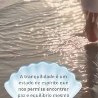 A tranquilidade é um estado de espírito que nos permite encontrar paz e equilíbrio mesmo em meio ao caos 
da vida.