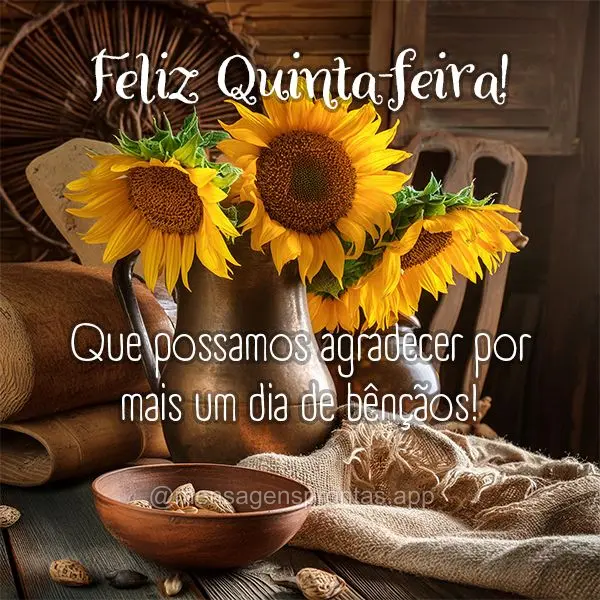 Que possamos agradecer por mais um dia de bênçãos! Feliz Quinta-feira!