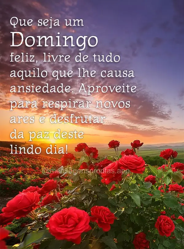 Que seja um Domingo feliz, livre de tudo aquilo que lhe causa ansiedade. Aproveite para respirar novos ares e desfrutar da paz deste lindo dia!