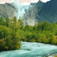 Que a gratidão a Deus seja cultivada em sua mente, pois Ele é quem nos dá discernimento para fazer as melhores escolhas.