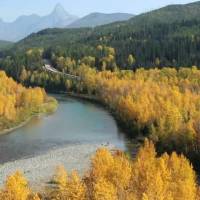 Que a tarde traga 
consigo novas oportunidades e muita positividade. Tenha uma  Boa Tarde!