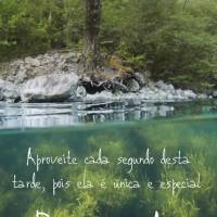 Aproveite cada segundo desta tarde, pois ela é única e especial. Boa tarde!