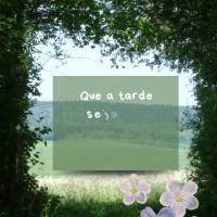 Que a tarde seja doce e tranquila como uma brisa suave. Tenha uma  ótima tarde!