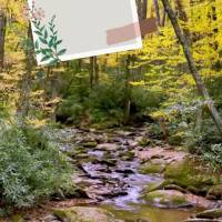 Aproveite para refletir, se divertir e ser feliz. Você merece! Boa tarde!