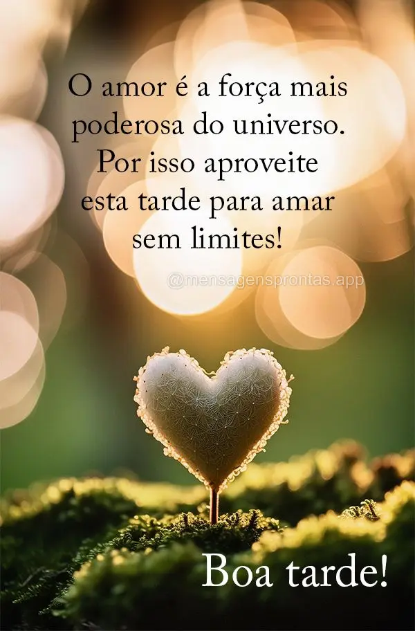 O amor é a força mais poderosa do universo. Por isso aproveite esta tarde para amar sem limites! Boa tarde!