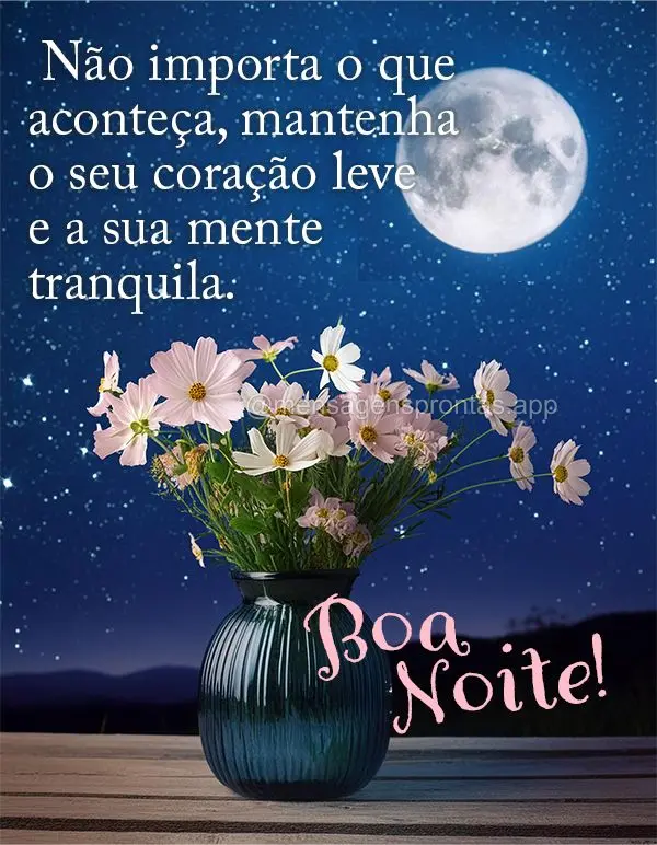 Não importa o que aconteça, mantenha o seu coração leve e a sua mente tranquila. Boa noite!