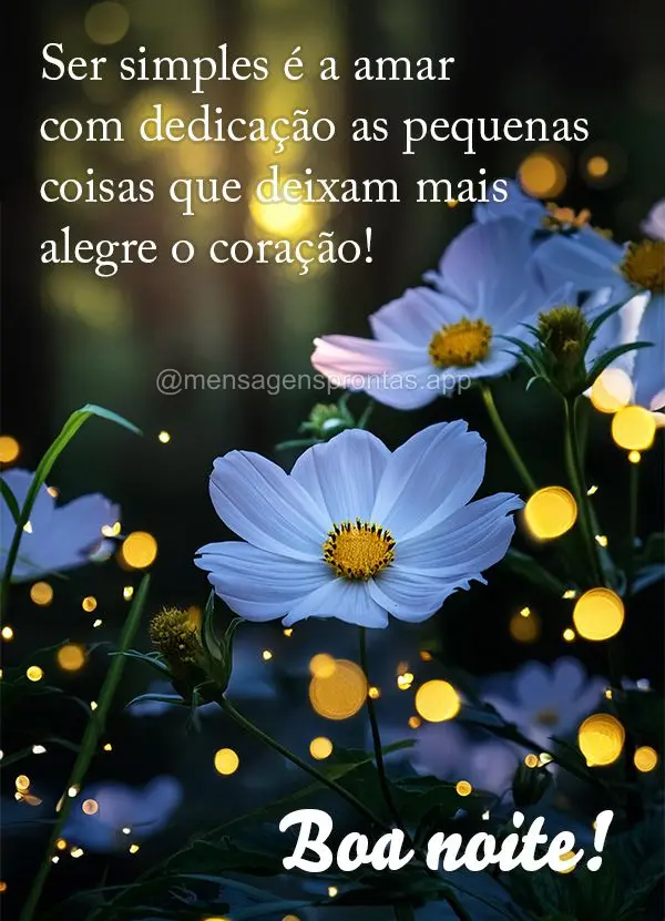 Ser simples é a amar com dedicação as pequenas coisas que deixam mais alegre o coração! Boa noite!