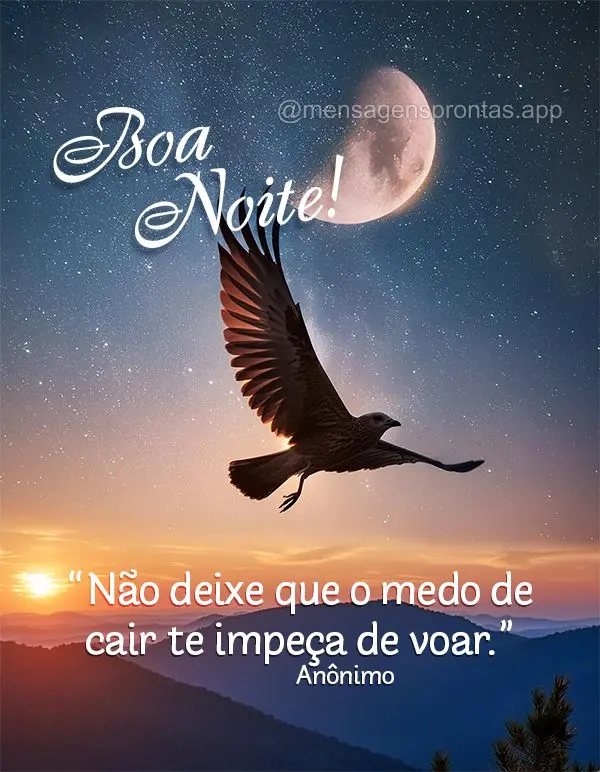 "Não deixe que o medo de cair te impeça de voar." Boa noite! Anônimo