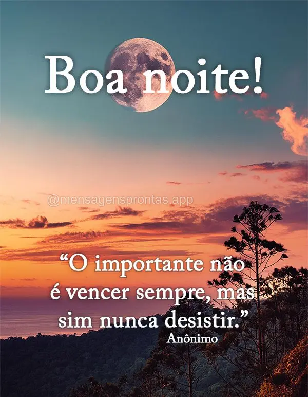 "O importante não é vencer sempre, mas sim nunca desistir." Boa noite! Anônimo