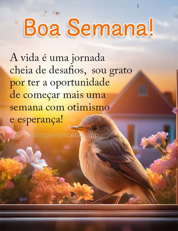 A vida é uma jornada cheia de desafios,  sou grato por ter a oportunidade de começar mais uma semana com otimismo e esperança! Boa Semana!