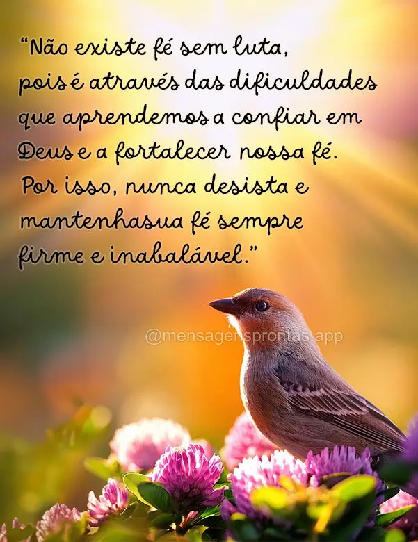 "Não existe fé sem luta, pois é através das dificuldades que aprendemos a confiar em Deus e a fortalecer nossa fé. Por isso, nunca desista e mantenh...