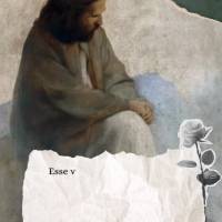 "Mas Deus prova o seu amor para conosco, em que Cristo morreu por nós, sendo nós ainda pecadores." Esse versículo nos lembra que não precisamos ser p...