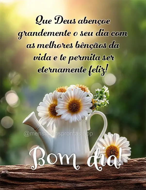 Que Deus abençoe grandemente o seu dia com as melhores bênçãos da vida e te permita ser eternamente feliz! Bom dia!