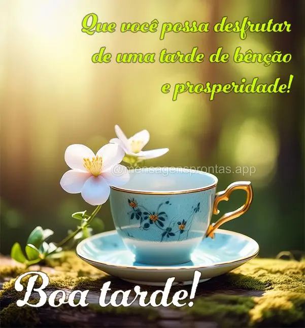 Que você possa desfrutar de uma tarde de bênção e prosperidade! Boa tarde!