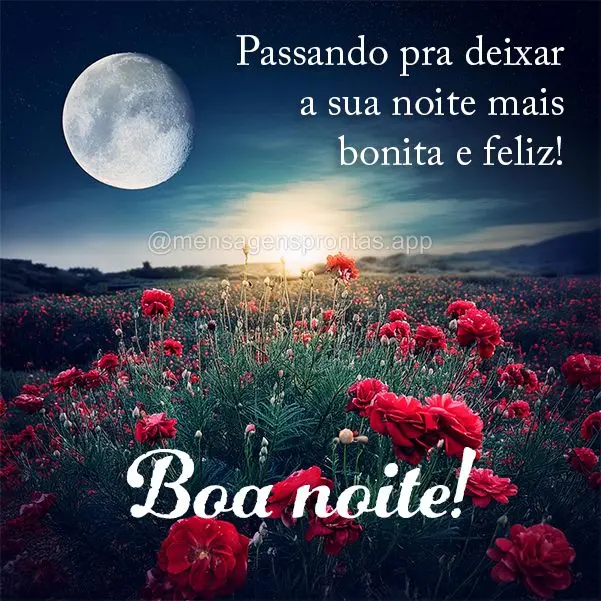 Passando pra deixar a sua noite mais bonita e feliz! Boa noite!