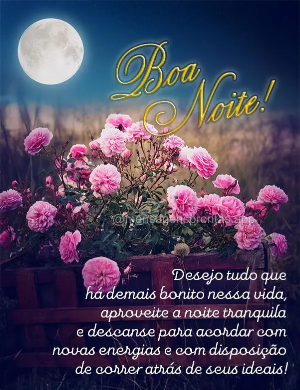 Desejo tudo que há demais bonito nessa vida, aproveite a noite tranquila e descanse para acordar com novas energias e com disposição de correr atrás ...