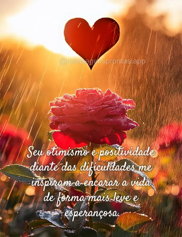 Seu otimismo e positividade diante das dificuldades me inspiram a encarar a vida de forma mais leve e esperançosa.