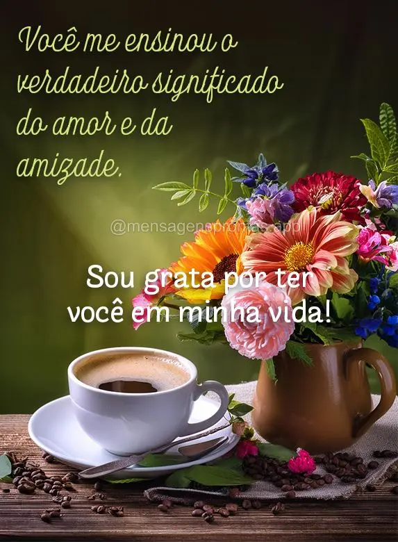 Você me ensinou o verdadeiro significado do amor e da amizade. Sou grata por ter você em minha vida!