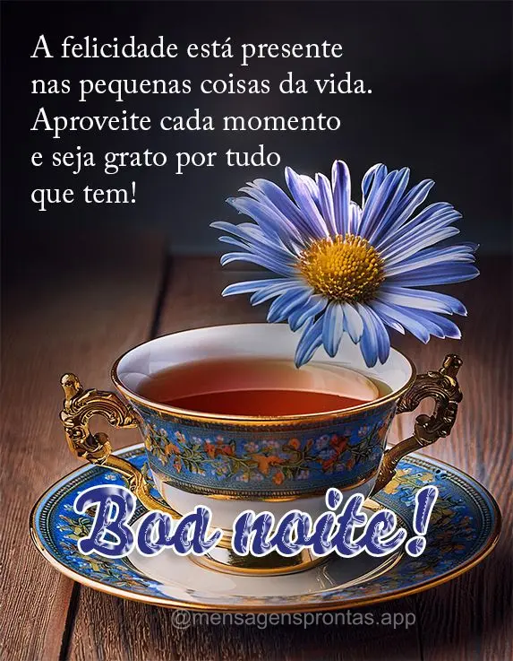 A felicidade está presente nas pequenas coisas da vida. Aproveite cada momento e seja grato por tudo que tem! Boa noite!