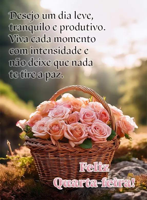 Desejo um dia leve, tranquilo e produtivo. Viva cada momento com intensidade e não deixe que nada te tire a paz. Feliz Quarta-feira!