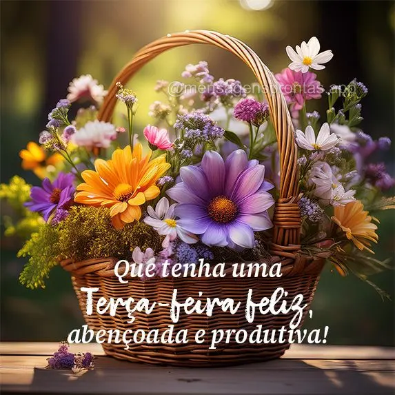 Que tenha uma Terça-feira feliz, abençoada e produtiva!