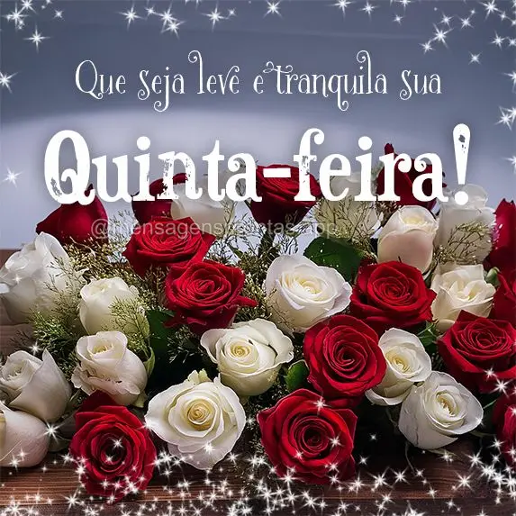 Que seja leve e tranquila sua Quinta-feira!