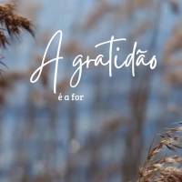 é a forma mais sincera de louvar a Deus por tudo que Ele nos proporciona. A gratidão