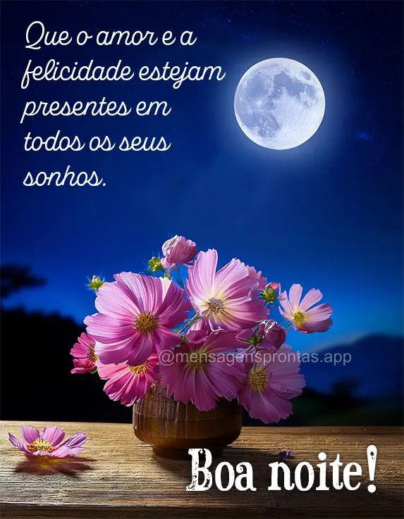 Que o amor e a felicidade estejam presentes em todos os seus sonhos. Boa noite!