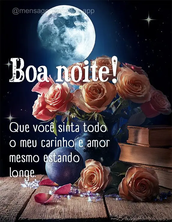 Que você sinta todo o meu carinho e amor mesmo estando longe. Boa noite!