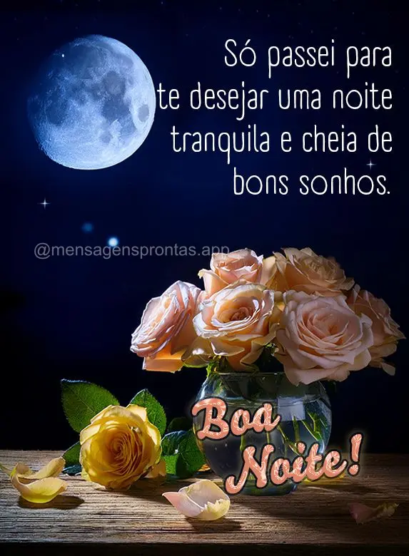 Só passei para te desejar uma noite tranquila e cheia de bons sonhos. Boa noite!