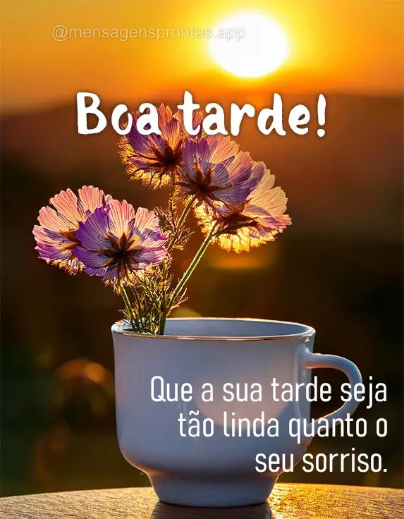 Que a sua tarde seja tão linda quanto o seu sorriso. Boa tarde!