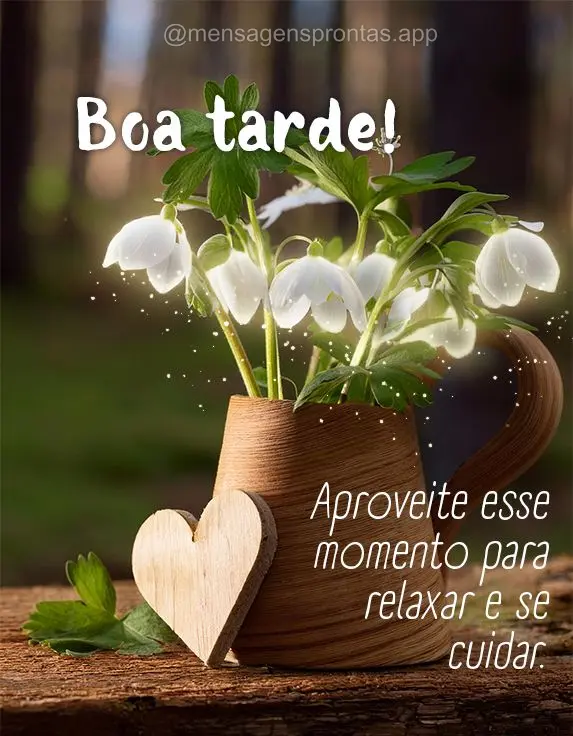 Aproveite esse momento para relaxar e se cuidar. Boa tarde! 