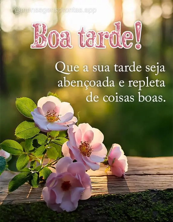 Que a sua tarde seja abençoada e repleta de coisas boas. Boa tarde!