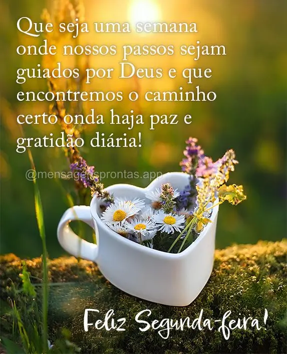 Que seja uma semana onde nossos passos sejam guiados por Deus e que encontremos o caminho certo onda haja paz e gratidão diária! Feliz Segunda-feira!...