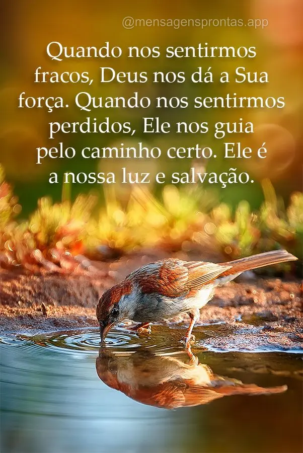 Quando nos sentirmos fracos, Deus nos dá a Sua força. Quando nos sentirmos perdidos, Ele nos guia pelo caminho certo. Ele é a nossa luz e salvação....