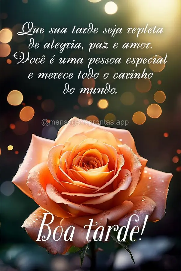 Que sua tarde seja repleta de alegria, paz e amor. Você é uma pessoa especial e merece todo o carinho do mundo. Boa tarde!