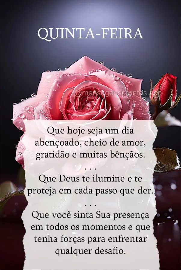 Que hoje seja um dia abençoado, cheio de amor, gratidão e muitas bênçãos. Que Deus te ilumine e te proteja em cada passo que der. Que você sinta Su...