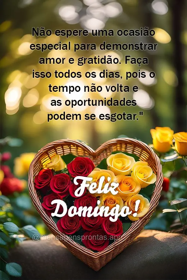 Não espere uma ocasião especial para demonstrar amor e gratidão. Faça isso todos os dias, pois o tempo não volta e as oportunidades podem se esgotar...