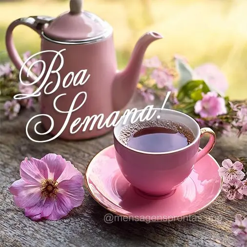 Boa Semana!