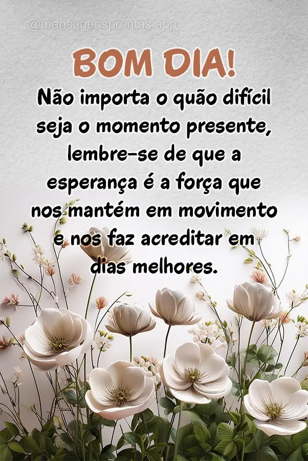 Não importa o quão difícil seja o momento presente, lembre-se de que a esperança é a força que nos mantém em movimento e nos faz acreditar em dias...