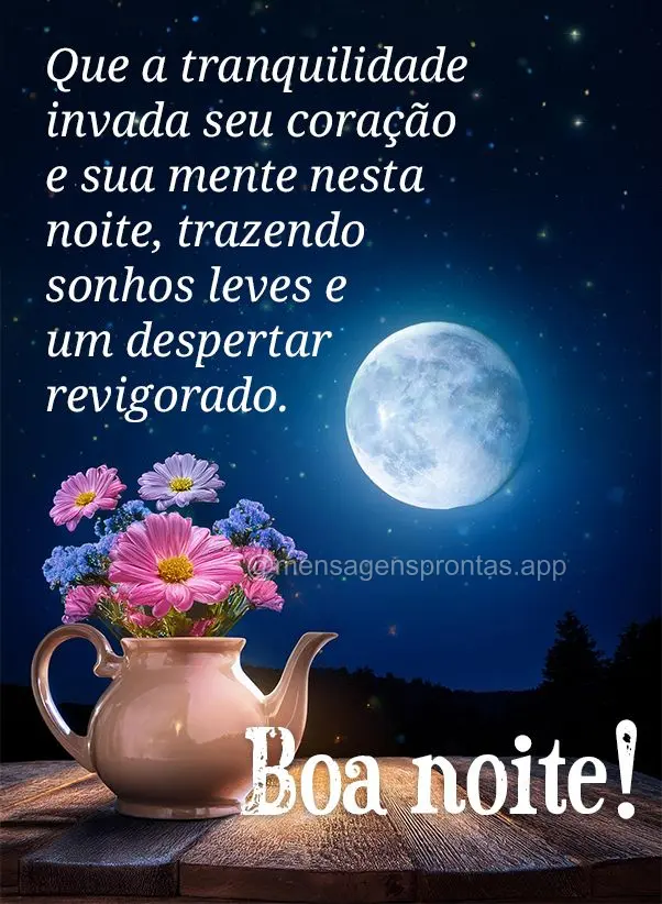 Que a tranquilidade invada seu coração e sua mente nesta noite, trazendo sonhos leves e um despertar revigorado. Boa noite!