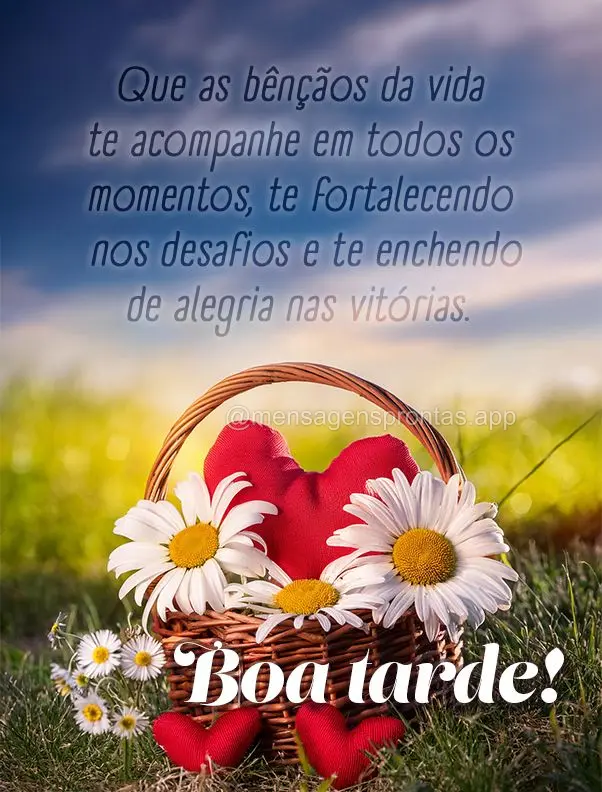 Que as bênçãos da vida te acompanhe em todos os momentos, te fortalecendo nos desafios e te enchendo de alegria nas vitórias. Boa tarde!