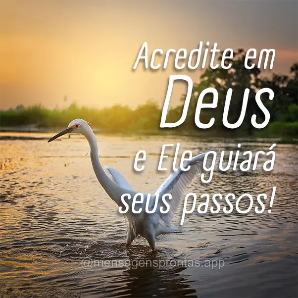 Acredite em Deus e Ele guiará seus passos.